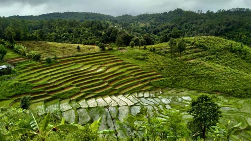Chiang Mai: Jungle Trek, Elephants care & Bamboo Rafting - What to Bring So You’re Comfortable All Day