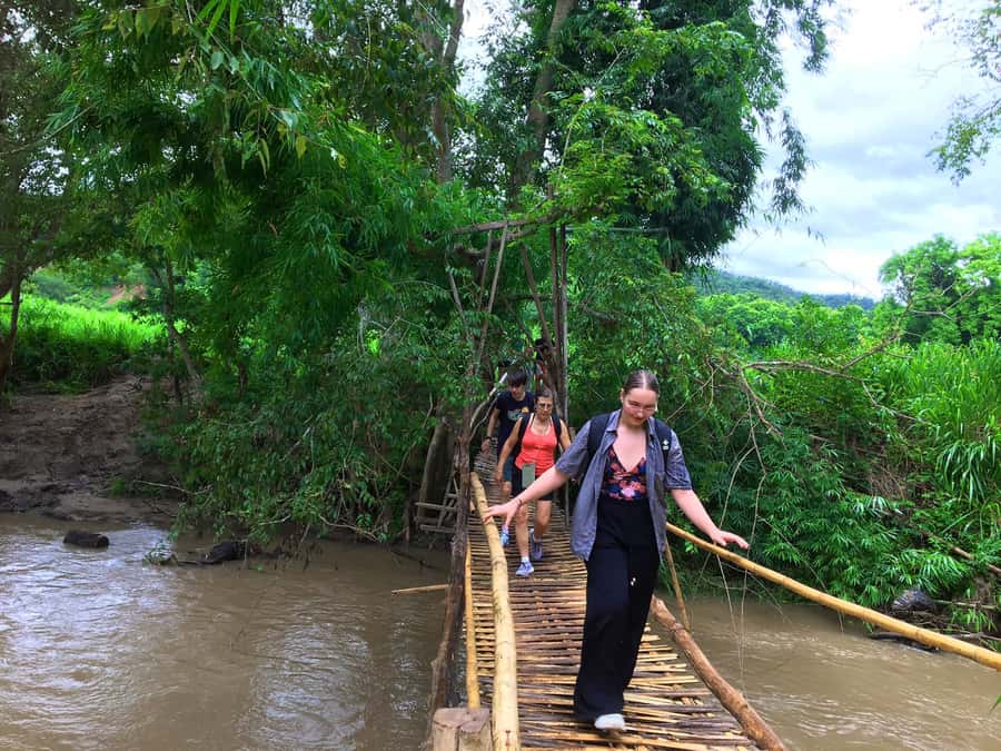 Chiang Mai: Karen Tribe & Dual Waterfalls - Private Day Trek - Bamboo and Evergreen Forest Trek: Where the Views (and Sweating) Happen