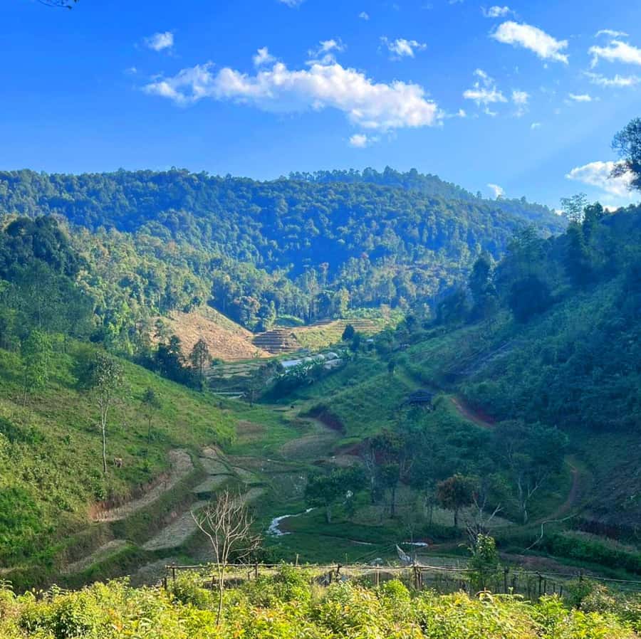 Chiang Mai: Karen Tribe & Dual Waterfalls - Private Day Trek - Mae Sapok: The Shift From Trekking to Bamboo Rafting Mode
