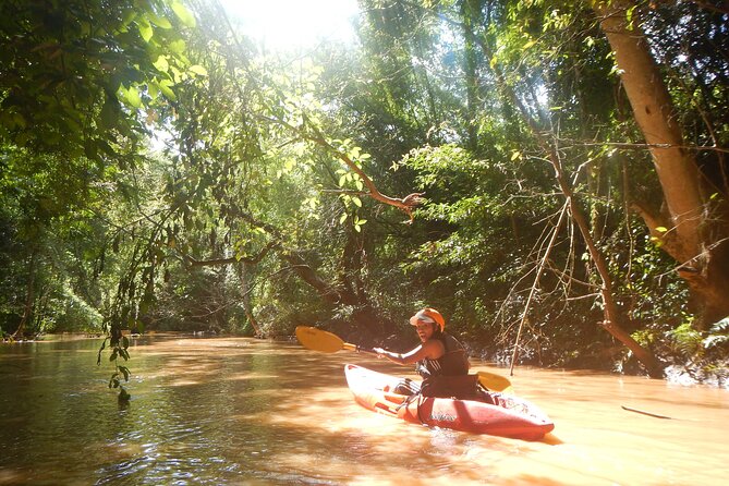 Chiang Mai : Kayak the Jungle Rivers of Chiang Dao Valley! - Wildlife spotting on bamboo corridors and flooded waterways