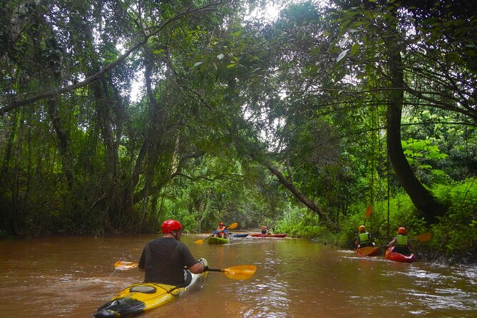 Chiang Mai : Kayak the Jungle Rivers of Chiang Dao Valley! - The 8:30am flow: what your day is like from pickup to return