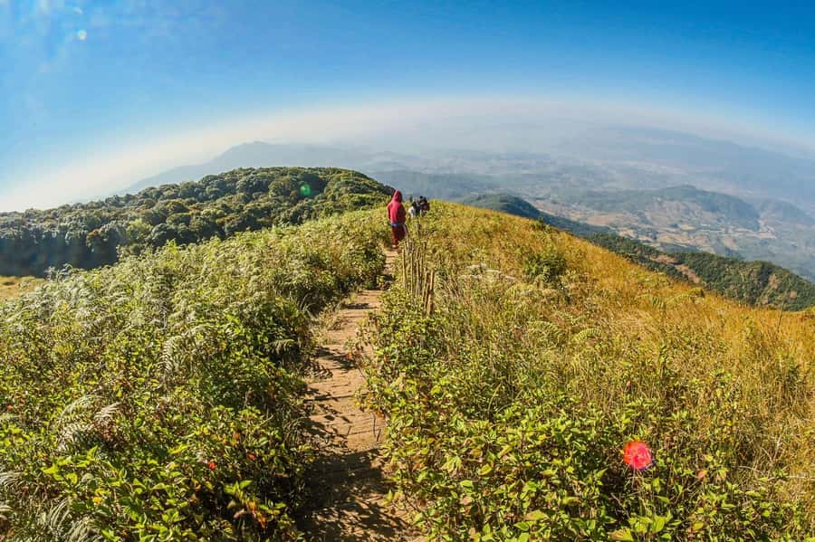 Chiang Mai: Kew Mae Pan Nature Trail & Doi Inthanon Day Trip - Royal King and Queen Pagodas: culture breaks between viewpoints