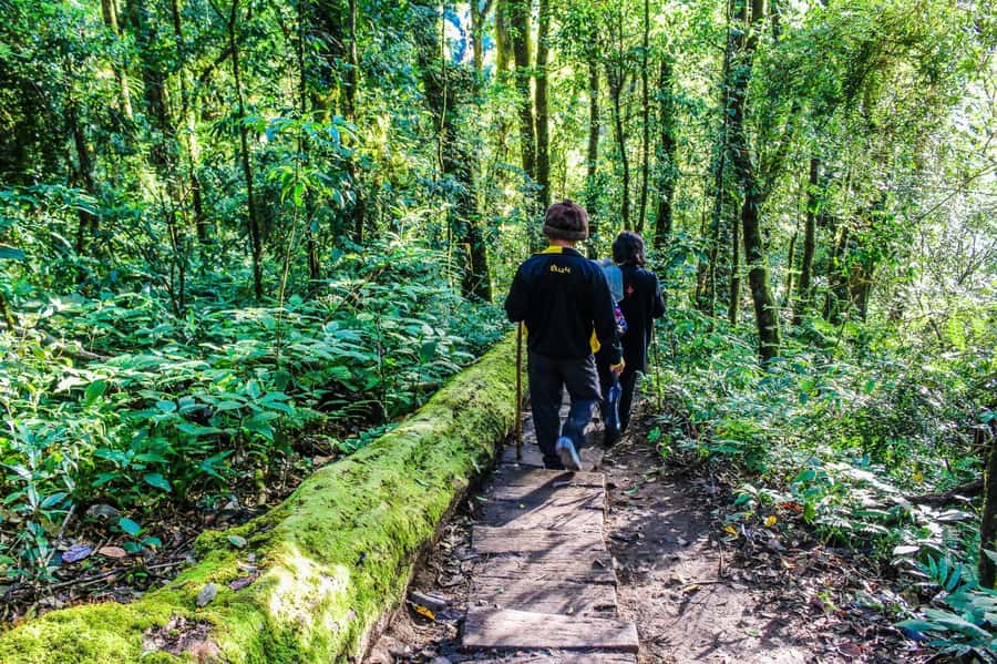 Chiang Mai: Kew Mae Pan Nature Trail & Doi Inthanon Day Trip - Price and value: what $54 really covers, and what costs extra