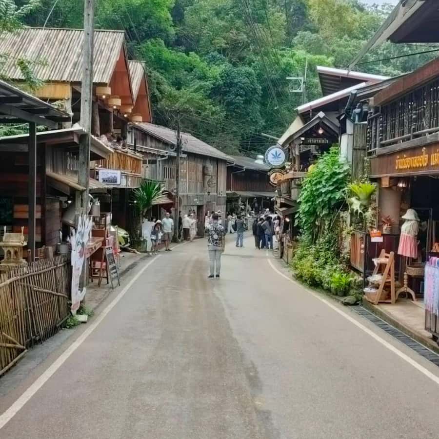 Chiang Mai: Mae Kampong Village, Hot Springs & Bor Sang Tour - Private-Car Convenience and an 8-Hour Chiang Mai Rhythm