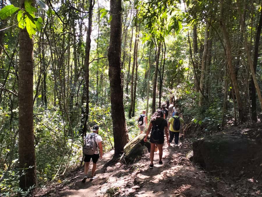 Chiang Mai: Mae Ya Waterfall & Pha Dok Siew Trail Trek - Key Takeaways Before You Go