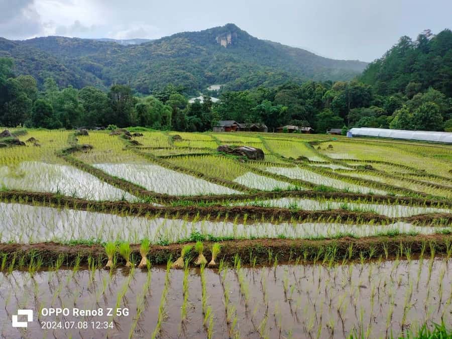 Chiang Mai: Mae Ya Waterfall & Pha Dok Siew Trail Trek - Why This Chiang Mai Waterfall + Trek Day Feels Worth It