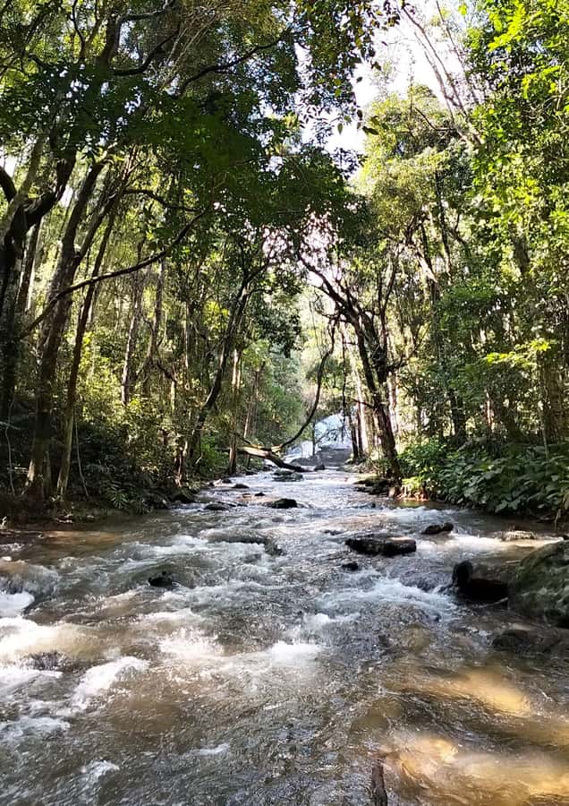 Chiang Mai: Mae Ya Waterfall & Pha Dok Siew Trail Trek - Mae Ya Waterfall: The 280m Cliff Moment