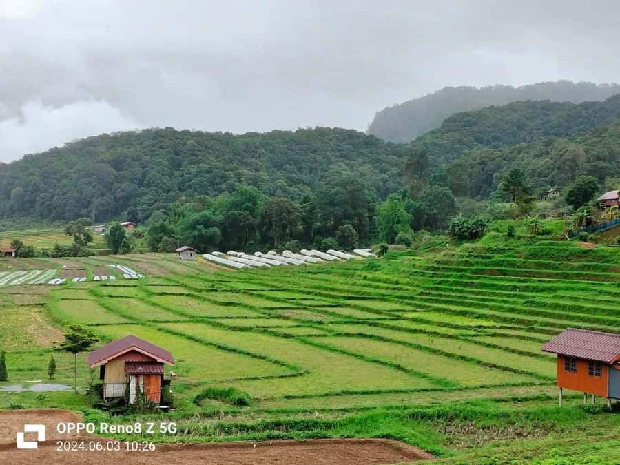 Chiang Mai: Mae Ya Waterfall & Pha Dok Siew Trail Trek - Price and Value: $80 Per Person, and What You Get for It