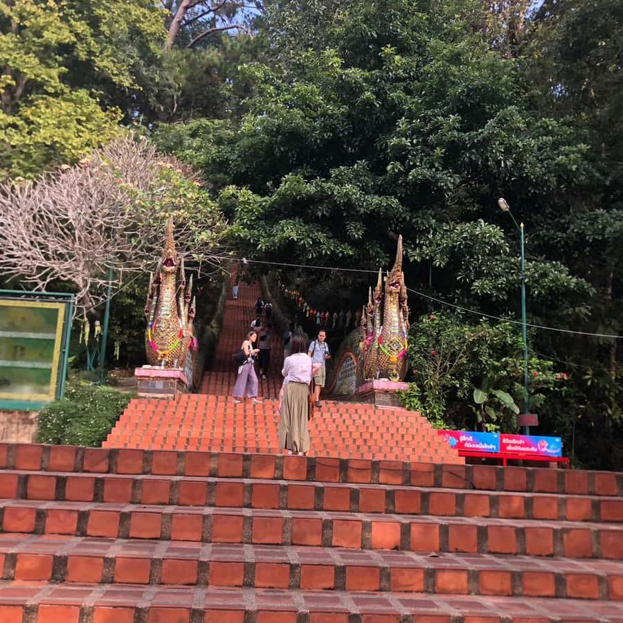 Chiang Mai Monk's Trail Wat Pha Lat & Visit Wat Doi Suthep - Key highlights at a glance
