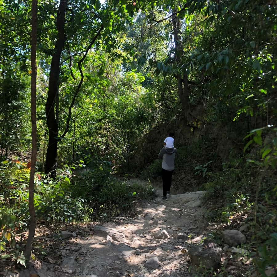 Chiang Mai Monk's Trail Wat Pha Lat & Visit Wat Doi Suthep - The monk’s trail hike: downhill stroll or real workout up