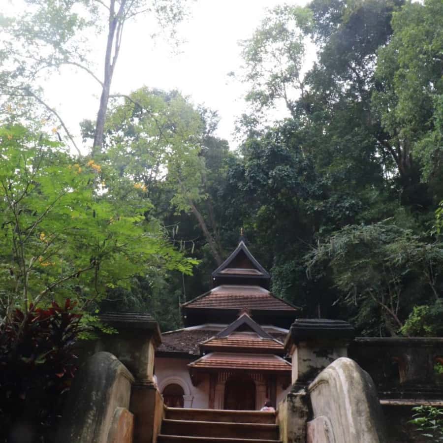 Chiang Mai Monk's Trail Wat Pha Lat & Visit Wat Doi Suthep - Wat Phra That Doi Suthep: golden pagoda, 306 steps, and big Chiang Mai views