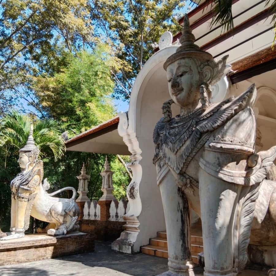 Chiang Mai Monk's Trail Wat Pha Lat & Visit Wat Doi Suthep - What to bring for comfort on both trails and temple rules