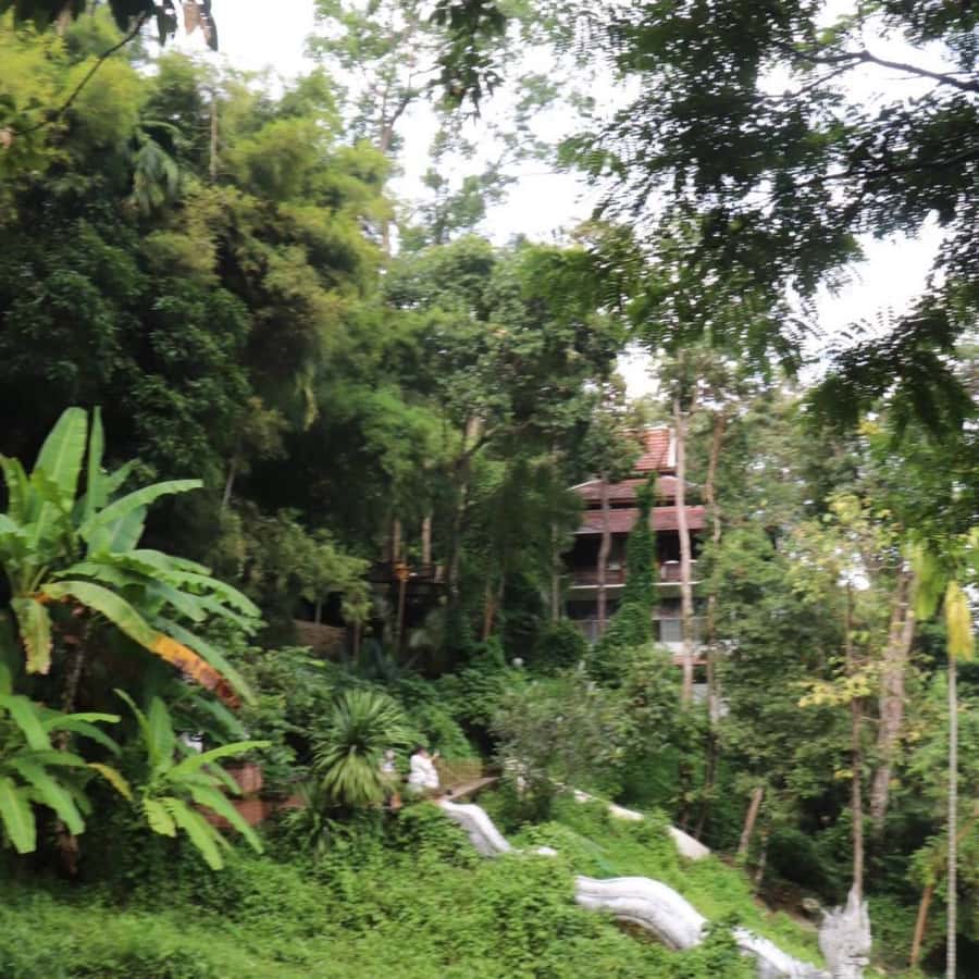 Chiang Mai Monk's Trail Wat Pha Lat & Visit Wat Doi Suthep - Price and value: is ~$73 a fair deal?