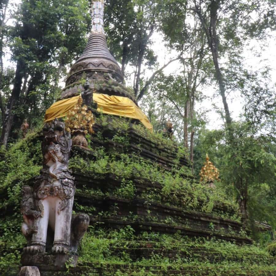 Chiang Mai Monk's Trail Wat Pha Lat & Visit Wat Doi Suthep - Who should book this, and who should skip it