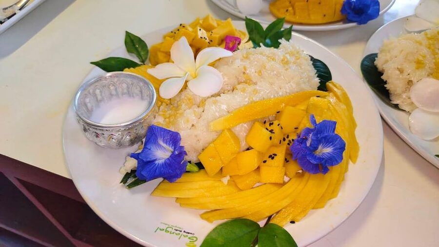 Chiang Mai: Morning Cooking Class with Market Visit - The PDF Recipe Book: Taking Thai Cooking Home