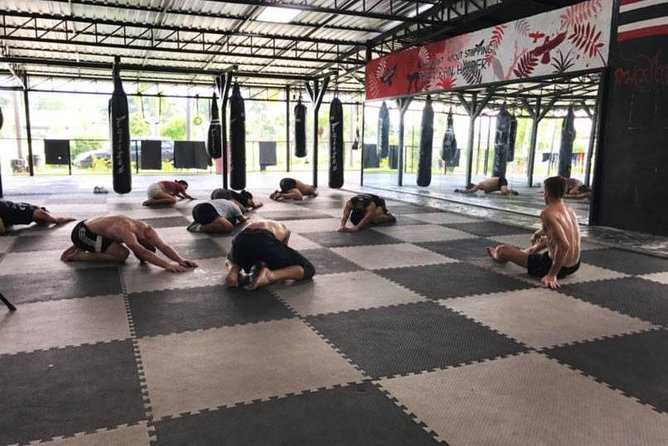 Chiang Mai Muay Thai Boxing Experience - What you learn: real Muay Thai basics, not random exercise