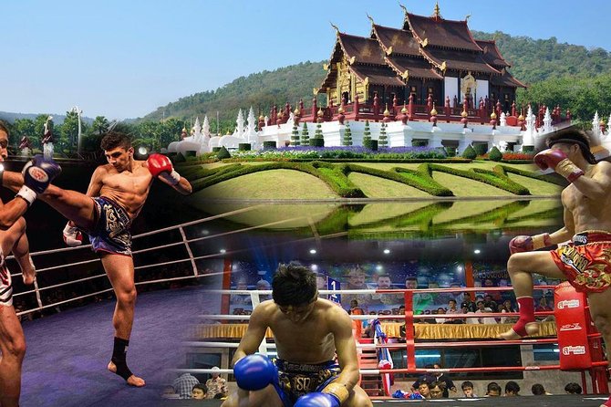 Chiang Mai Muay Thai Boxing Live at Thapae Stadium - What a Muay Thai night at Thapae feels like (and why the vibe matters)