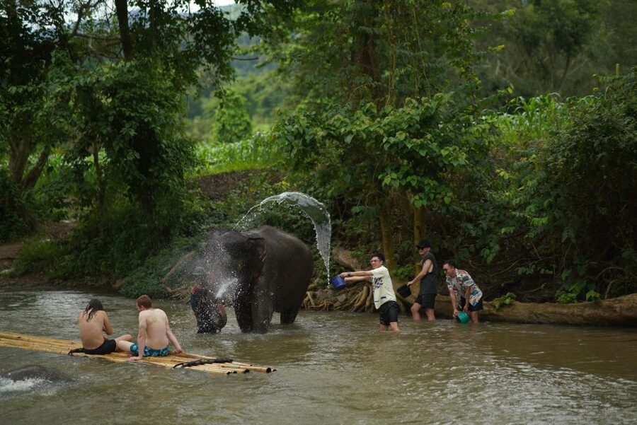 Chiang Mai: National Elephant Care, Rafting, & Ziplines Trip - The second act: bamboo rafting on the Mae Wang River