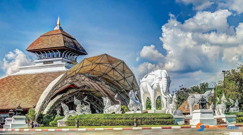 Chiang Mai Night Safari: Entry Ticket with Tram Ride - Key Highlights You’ll Actually Feel