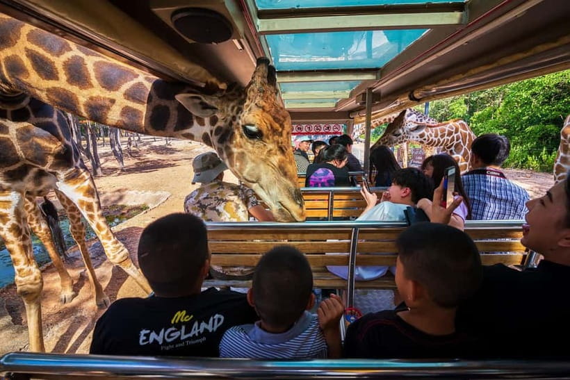 Chiang Mai Night Safari: Entry Ticket with Tram Ride - Jaguar Trail Zone: A Calm Start at Night
