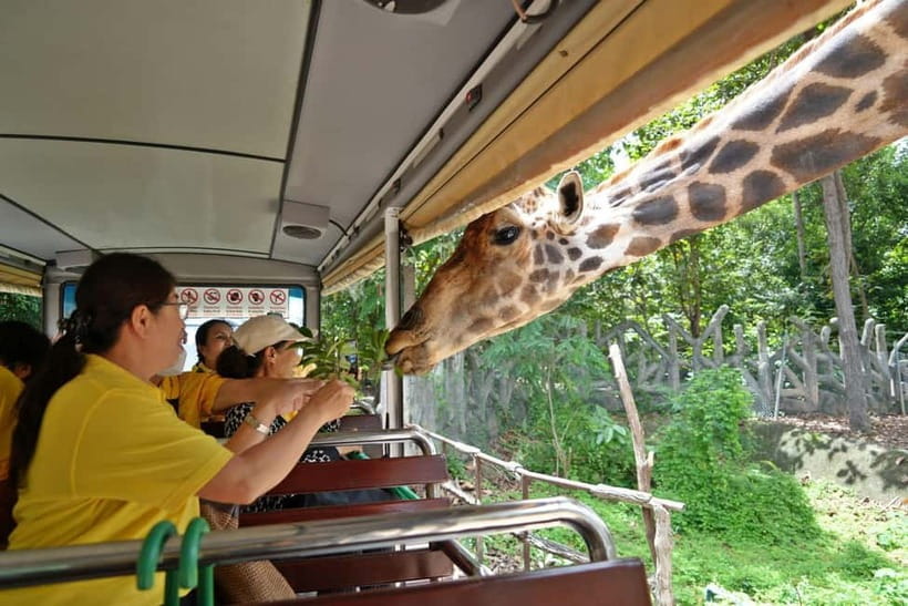 Chiang Mai Night Safari Ticket & Tram Rides Optional Pickup - Book It or Skip It: My Take on Chiang Mai Night Safari With Tram Rides