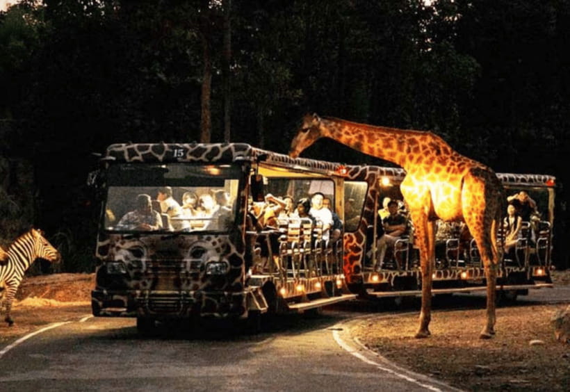 Chiang Mai: Night Safari Ticket with Transfer - Hotel pickup and the best arrival time: pick your pace