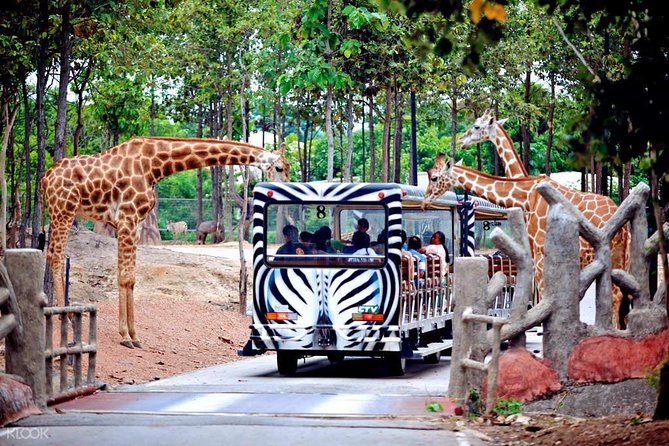 Chiang Mai Night Safari Tour including Transfer (Minimum 2 pax) - Pickup and Transfers: How Smooth the Start Really Is