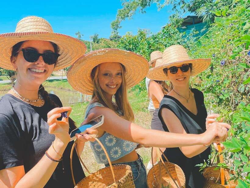 Chiang Mai Organic Thai Cooking Experience - Key highlights to know before you go