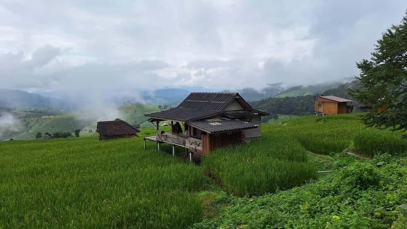Chiang Mai : Pa Bong Piang Rice Terraces & Doi Inthanon - Key Highlights You’ll Actually Care About