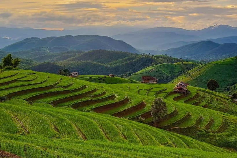 Chiang Mai : Pa Bong Piang Rice Terraces & Doi Inthanon - Who This Tour Best Fits