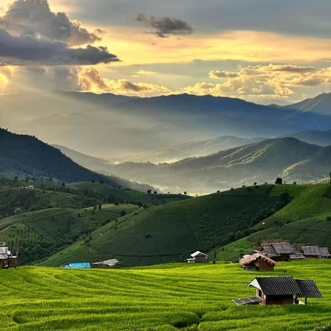 Chiang Mai : Pa Bong Piang Rice Terraces & Doi Inthanon - Ang Ka Nature Trail Boardwalk: Cloud Forest on a Gentle Footpath
