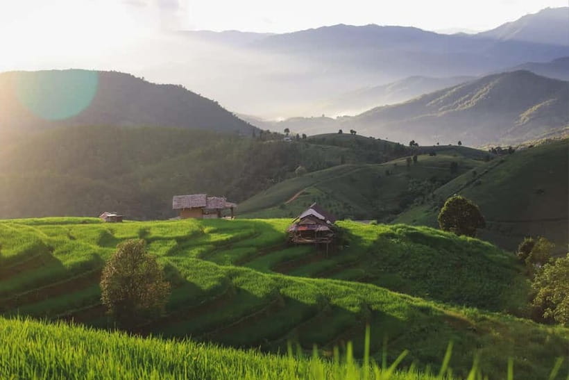 Chiang Mai : Pa Bong Piang Rice Terraces & Doi Inthanon - Phra That Twin Pagodas: King and Queen Views Above the Gardens