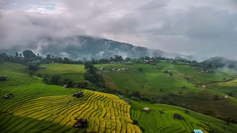 Chiang Mai : Pa Bong Piang Rice Terraces & Doi Inthanon - Mae Klang Luang Village Coffee Stop: Local Tastes, Not a Hard Sell