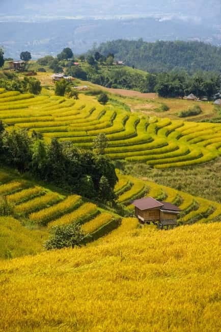 Chiang Mai : Pa Bong Piang Rice Terraces & Doi Inthanon - Wachirathan Waterfall: The Finale With Real Power