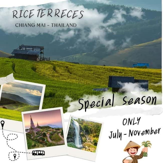 Chiang Mai : Pa Bong Piang Rice Terraces & Doi Inthanon - Pa Bong Piang Rice Terraces: A Masterclass in Hillside Farming