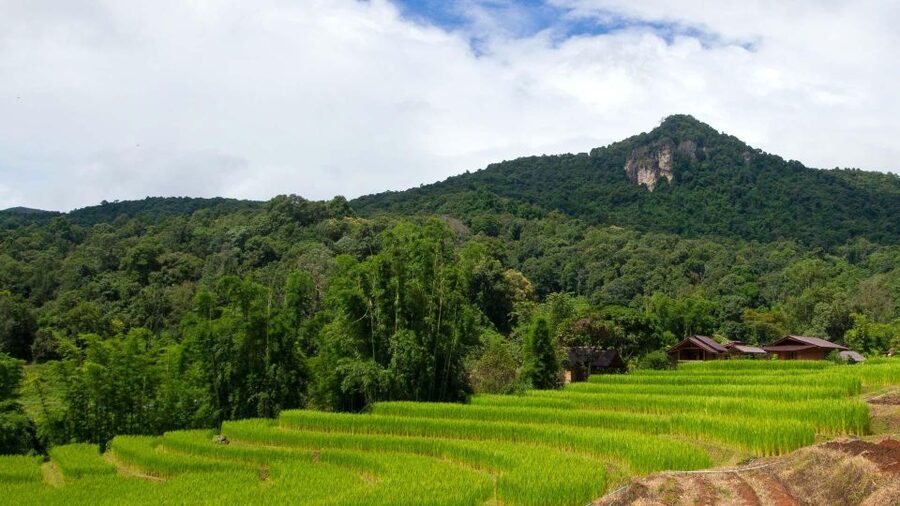 Chiang Mai: Pha Dok Siew Nature Trail & Doi Inthanon Trip - King and Queen Pagodas: Stunning Views With a Dress Code