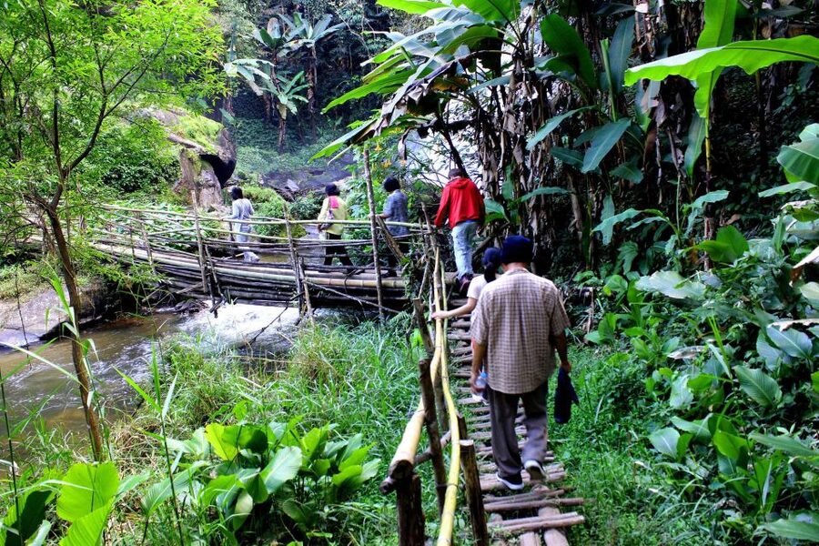 Chiang Mai: Pha Dok Siew Nature Trail & Doi Inthanon Trip - Price and Value: What $43 Buys You