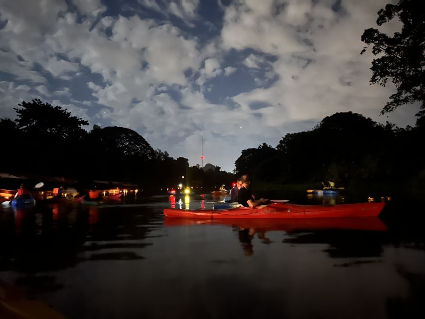 Chiang Mai: Ping River Night Kayaking into City Center - The 6 km route through the city center: what you’ll actually see