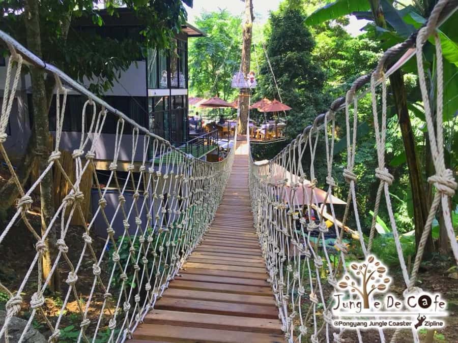 Chiang Mai: Pongyang Jungle Coaster and Zip Line Tour - Key Things I’d Focus On