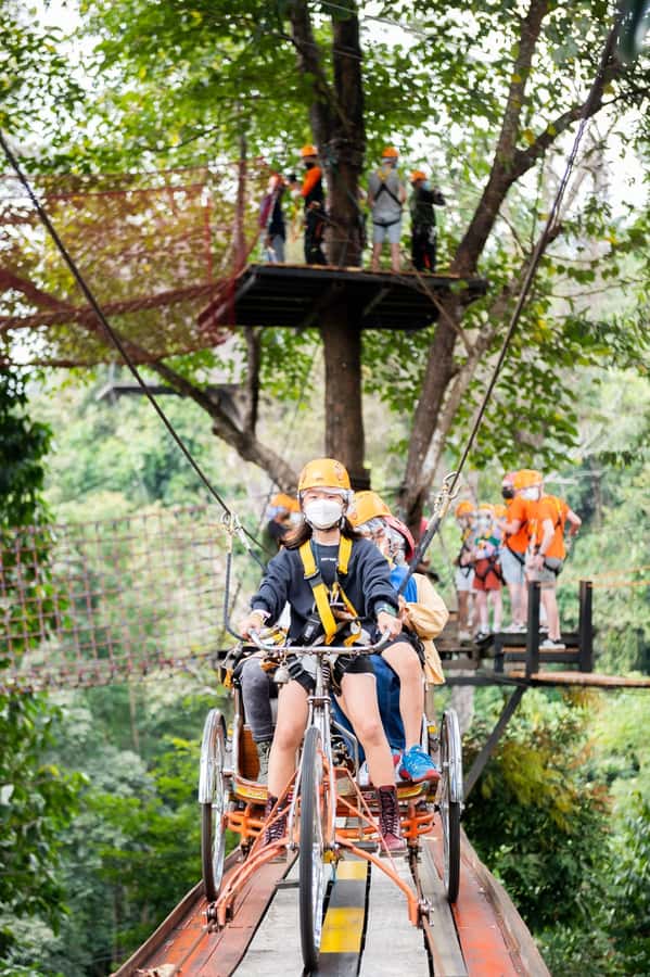 Chiang Mai: Pongyang Jungle Coaster and Zip Line Tour - Views, Flora, and a Camera-Ready Break