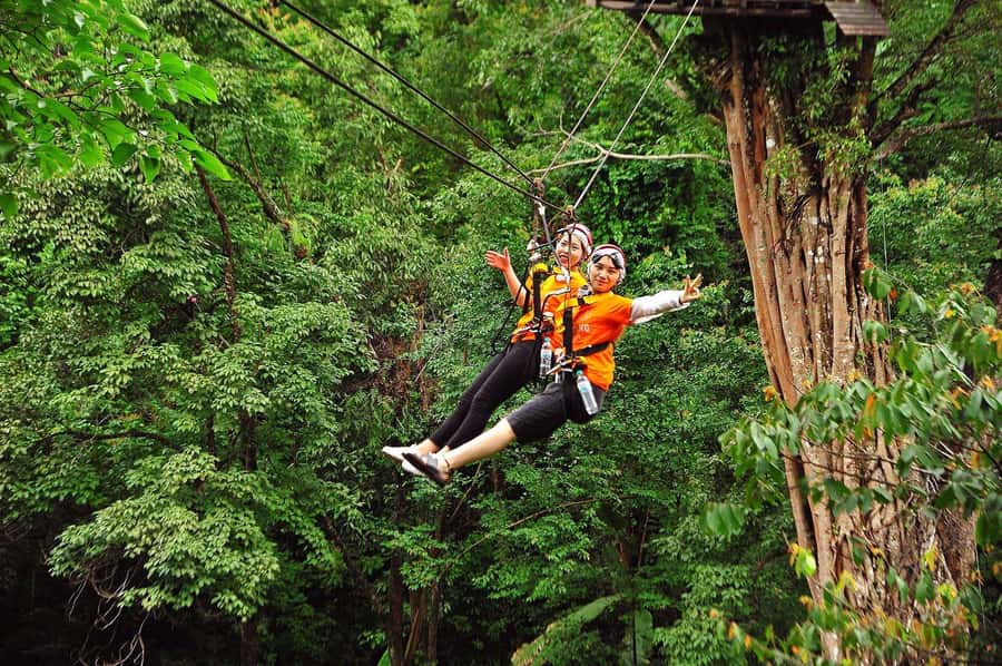 Chiang Mai : Pongyang Jungle Coaster Zipline - The 95 kg Weight Rule: The Part You Must Check Early