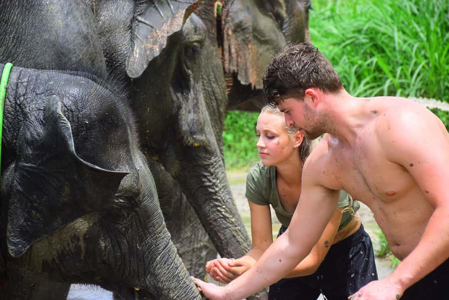 Chiang Mai: Private Elephant Care Experience for Couples - Private Elephant Care in Chiang Mai: What Makes It a Couples-First Day
