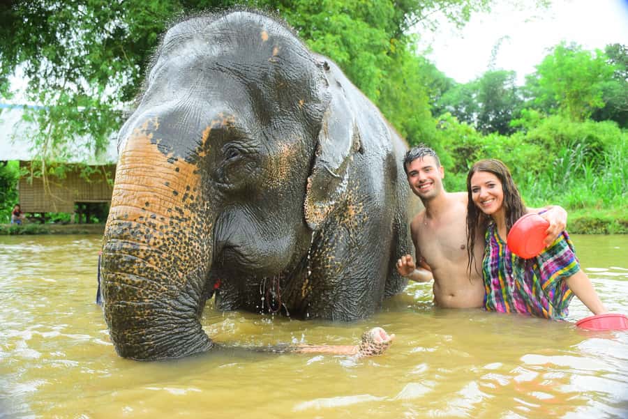 Chiang Mai: Private Elephant Care Experience for Couples - Feeding Time and Baby-Elephant Moments Up Close