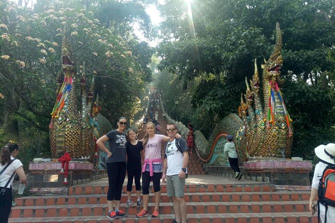 Chiang Mai Private Tour with Tea Plantation, Karen Village, Doi Suthep - Tea plantation and tea house time: organic production plus a calmer pace