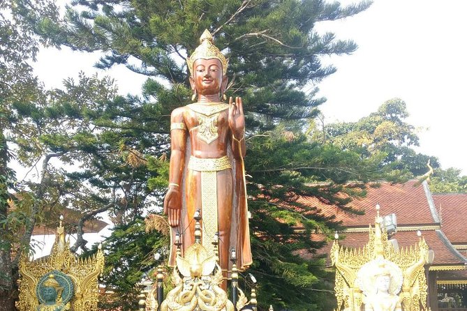 Chiang Mai Private Tour with Tea Plantation, Karen Village, Doi Suthep - Lunch included (and vegetarian is available): one less worry