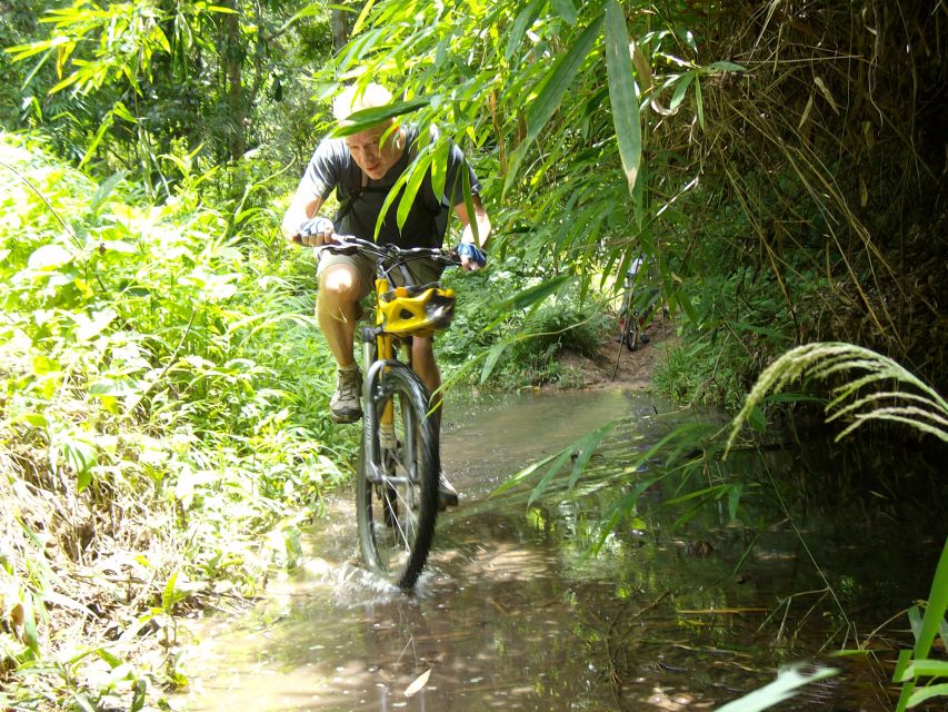 Chiang Mai: Rainforest Guided Mountain Biking Tour - Who this is for: families, school groups, and first-time mountain bikers