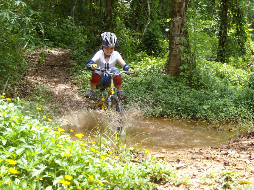Chiang Mai: Rainforest Guided Mountain Biking Tour - Rain or shine: how weather changes the experience (and how to prepare)