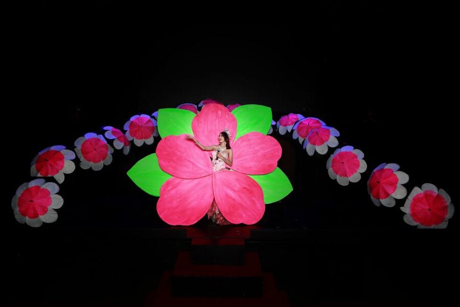 Chiang Mai: Siam Dragon Cabaret Show with Optional Transfer - Ticket Price and What You Get for About $25