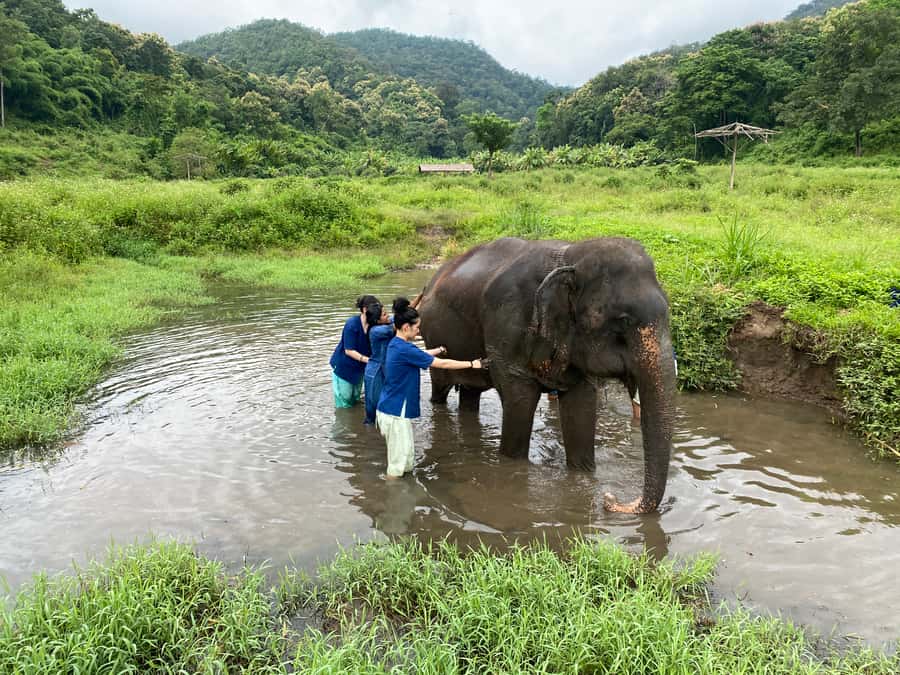 Chiang Mai: Small Group Ethical Elephant Sanctuary Tour - What’s Provided (and What You Should Pack) to Stay Comfortable