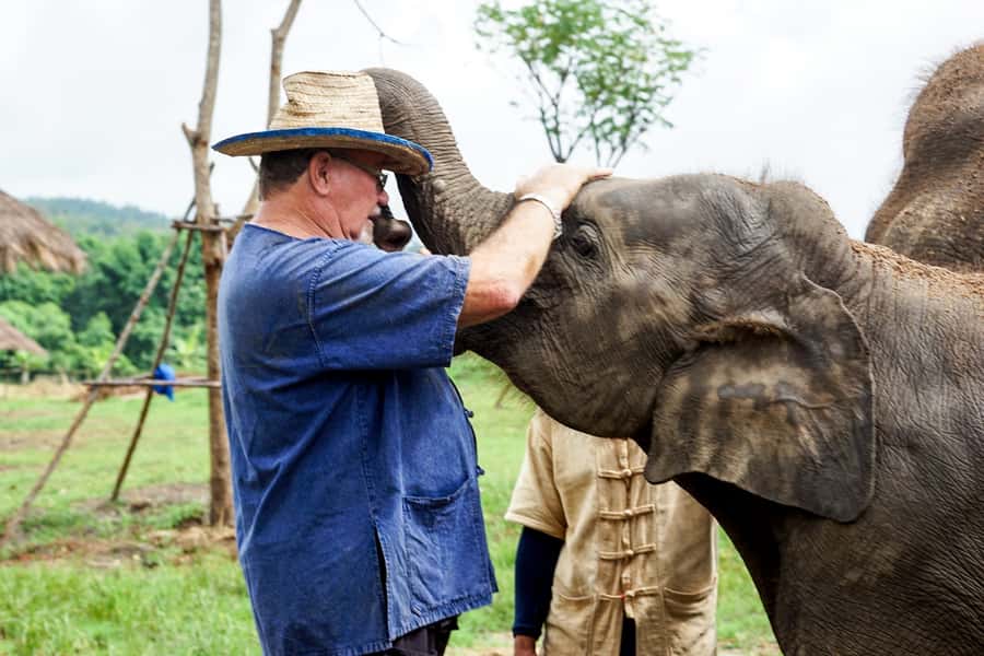 Chiang Mai: Small Group Ethical Elephant Sanctuary Tour - Arriving at Lanna Kingdom: Roaming Space and a Conservation-First Program